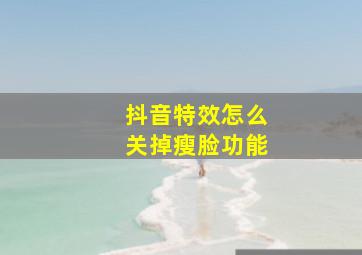 抖音特效怎么关掉瘦脸功能