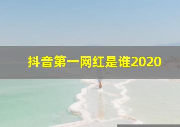 抖音第一网红是谁2020