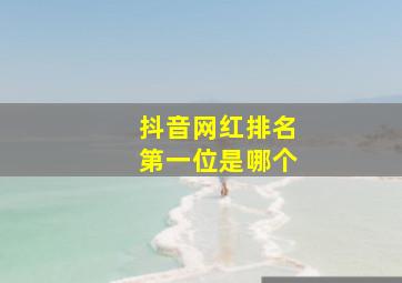 抖音网红排名第一位是哪个