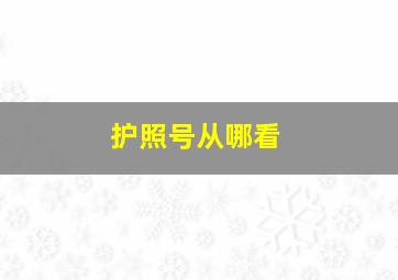 护照号从哪看