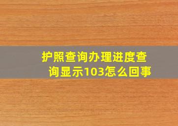 护照查询办理进度查询显示103怎么回事