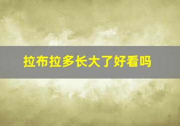 拉布拉多长大了好看吗