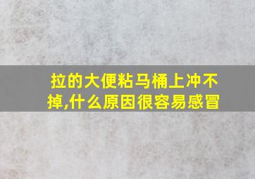 拉的大便粘马桶上冲不掉,什么原因很容易感冒