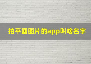 拍平面图片的app叫啥名字