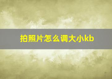 拍照片怎么调大小kb