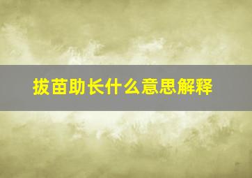 拔苗助长什么意思解释