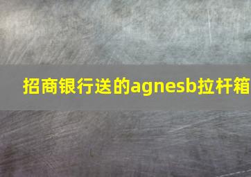 招商银行送的agnesb拉杆箱