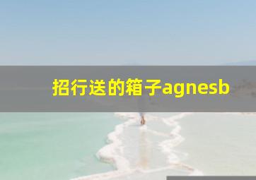 招行送的箱子agnesb