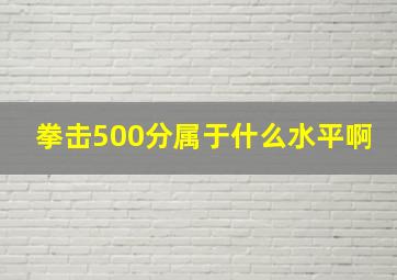 拳击500分属于什么水平啊