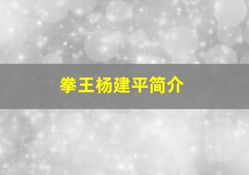 拳王杨建平简介