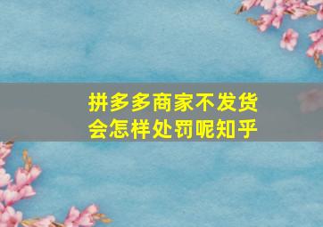 拼多多商家不发货会怎样处罚呢知乎