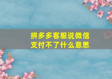 拼多多客服说微信支付不了什么意思