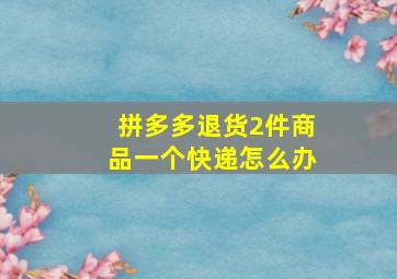 拼多多退货2件商品一个快递怎么办