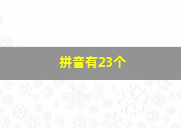 拼音有23个