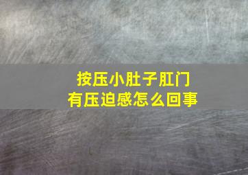 按压小肚子肛门有压迫感怎么回事