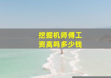 挖掘机师傅工资高吗多少钱