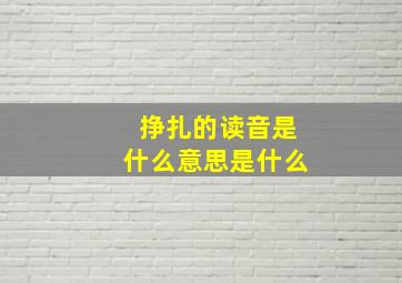 挣扎的读音是什么意思是什么