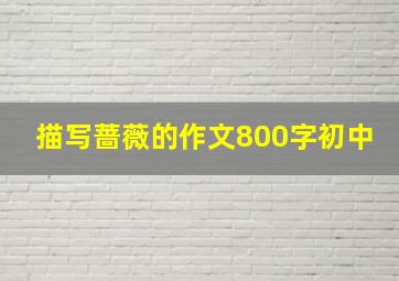 描写蔷薇的作文800字初中