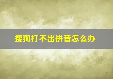 搜狗打不出拼音怎么办