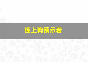 撞上狗预示着