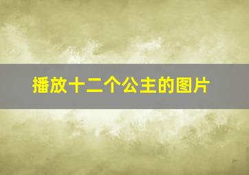 播放十二个公主的图片