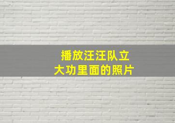 播放汪汪队立大功里面的照片