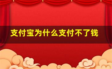 支付宝为什么支付不了钱