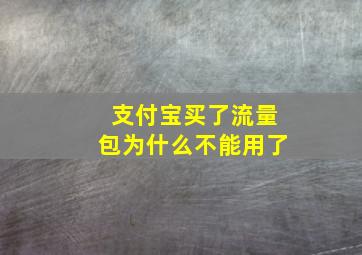 支付宝买了流量包为什么不能用了