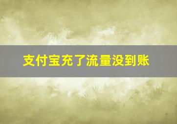 支付宝充了流量没到账