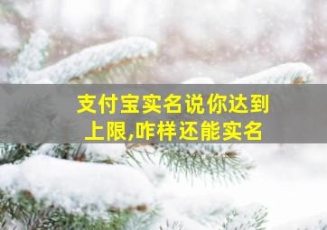 支付宝实名说你达到上限,咋样还能实名