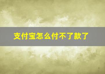 支付宝怎么付不了款了