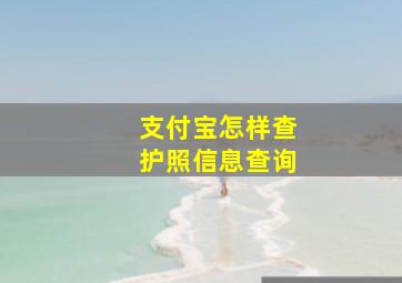 支付宝怎样查护照信息查询