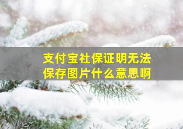 支付宝社保证明无法保存图片什么意思啊