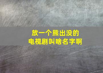 放一个熊出没的电视剧叫啥名字啊