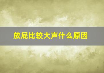 放屁比较大声什么原因