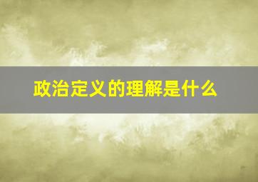 政治定义的理解是什么