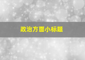 政治方面小标题