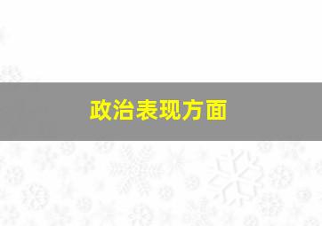 政治表现方面