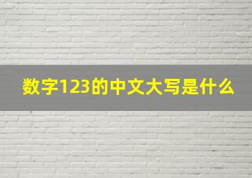 数字123的中文大写是什么