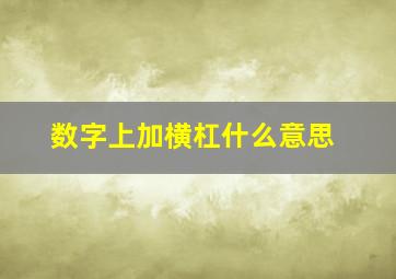 数字上加横杠什么意思