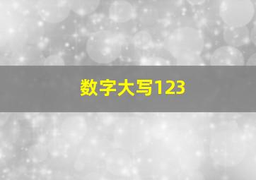 数字大写123