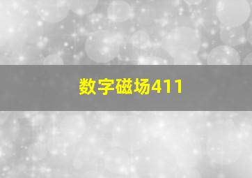 数字磁场411