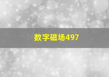 数字磁场497