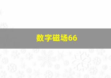 数字磁场66