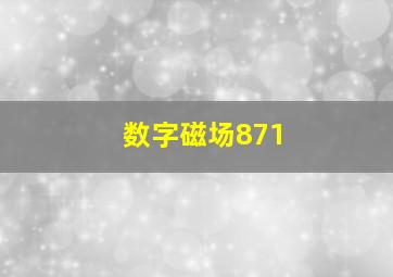 数字磁场871