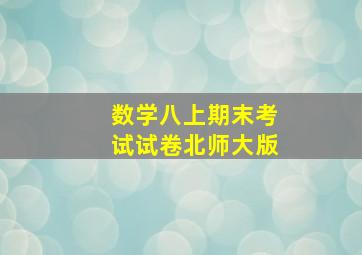 数学八上期末考试试卷北师大版