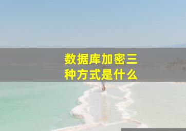 数据库加密三种方式是什么