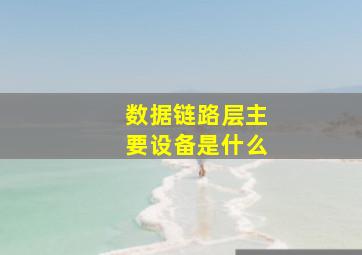 数据链路层主要设备是什么