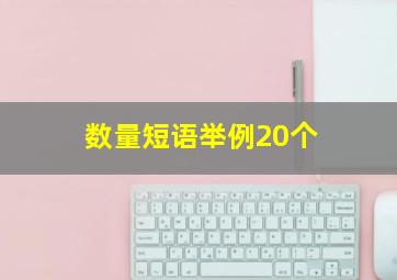 数量短语举例20个