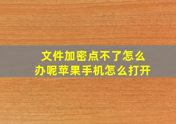 文件加密点不了怎么办呢苹果手机怎么打开